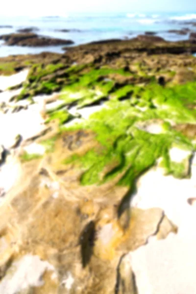 In Zuid-Afrika hemel Oceaan reserve — Stockfoto