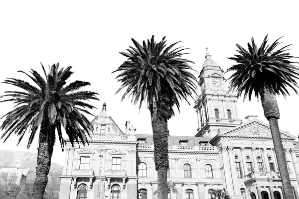 In south africa close up of the    city hall — Stock Photo, Image