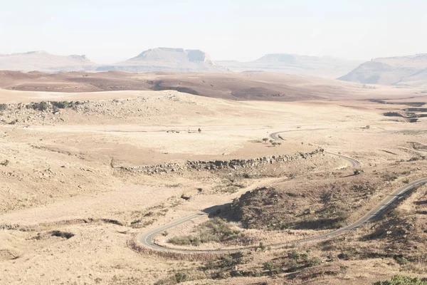 Na África do Sul arbusto terra e árvore — Fotografia de Stock