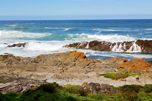 In south africa   sky  ocean       reserve — Stock Photo, Image