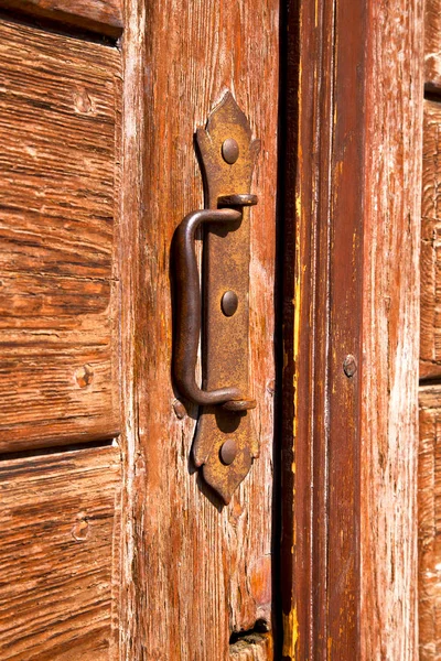 Brass brown knocker and cairate varese italy — Stock Photo, Image