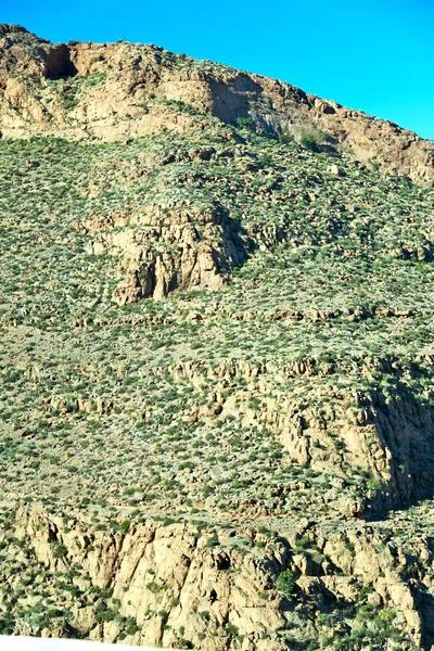 Brown bush  in    valley  morocco         africa the atlas dry m — Stock Photo, Image