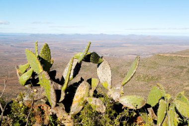   Güney Afrika ıssızlık vadisinde 