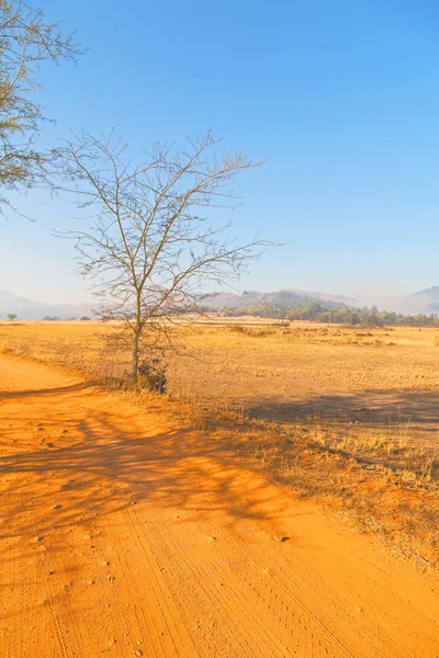 Wild nature reserve, swaziland — Stockfoto