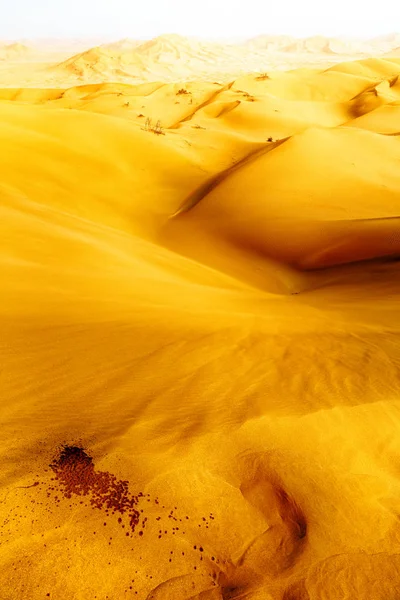Dans le vieux désert oman — Photo