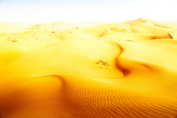 Em oman velho deserto esfregar al khali o quarto vazio e ao ar livre — Fotografia de Stock