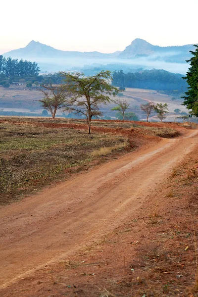 En la reserva natural de vida silvestre de Swazilandia — Foto de Stock