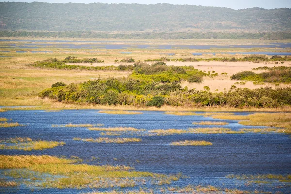 En Sudáfrica estanque lago reserva natural y arbusto —  Fotos de Stock