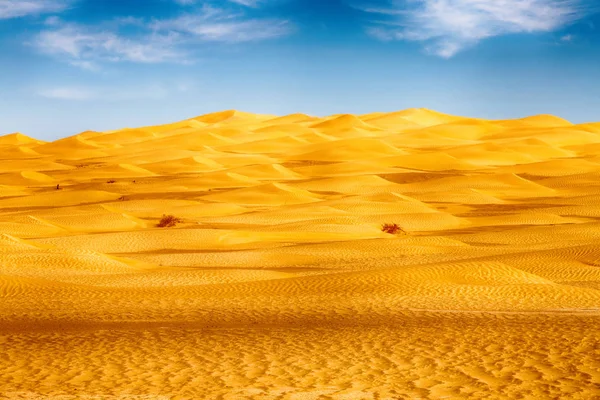 In oman oude desert rub al khali de lege kwartaal en buiten — Stockfoto