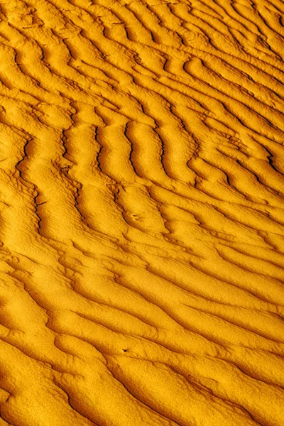 In oman the old desert and the empty quarter abstract  texture l Stock Image