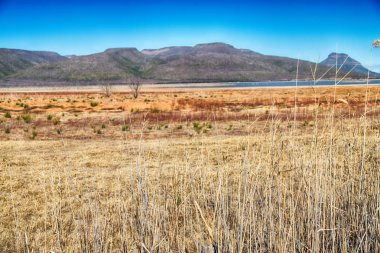  Güney Afrika ıssızlık vadisinde  