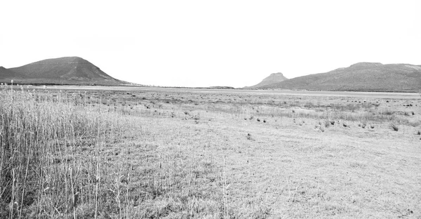  Güney Afrika ıssızlık vadisinde  