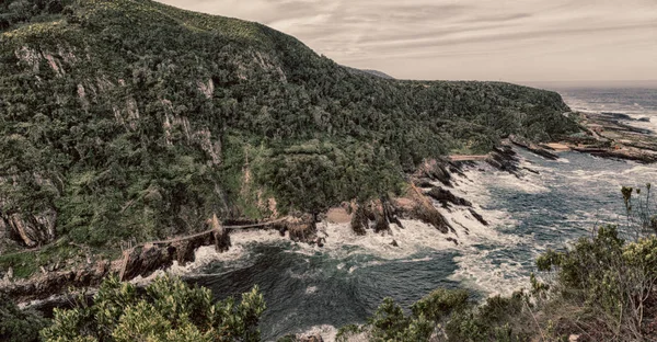 In south africa   sky  ocean     reserve — Stock Photo, Image