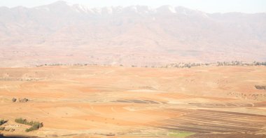   Güney Afrika'da kara çalı ve ağaç 
