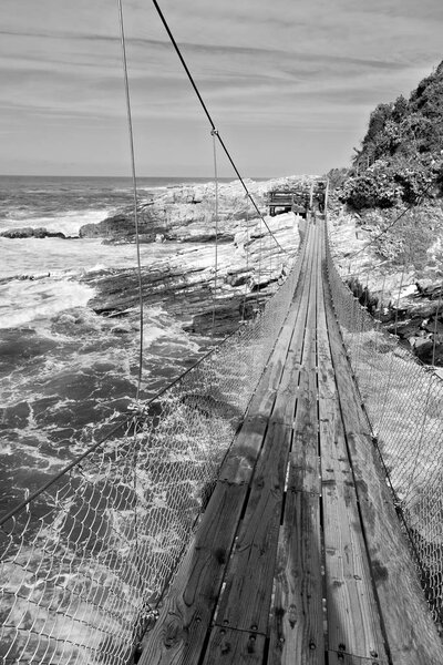   в южно-африканском океаническом заповеднике
  