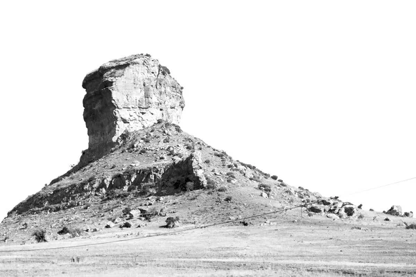 In Südafrika Land Busch und Baum — Stockfoto