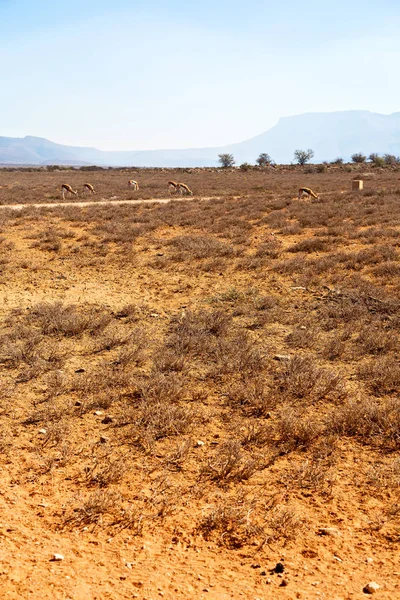 In Zuid-Afrika vallei van verlatenheid — Stockfoto