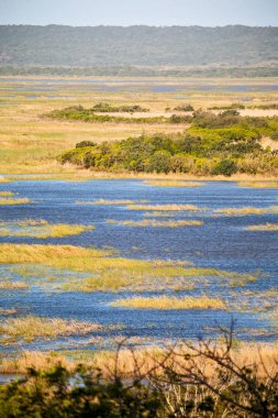   Güney Afrika su birikintisi Gölü tabiatı ve bush