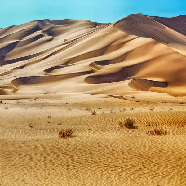 В старой пустыне — стоковое фото