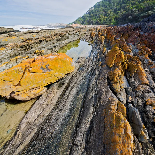 In Zuid-Afrika hemel Oceaan reserve — Stockfoto