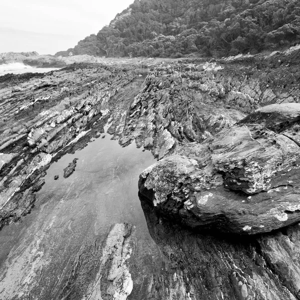 南アフリカ共和国の空海洋保護区の — ストック写真