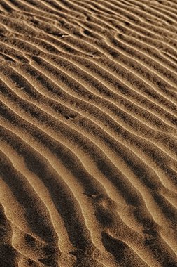 Umman eski çöl ve boş çeyrek soyut doku l