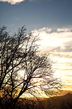  Güney Afrika sunrise yakınındaki şube