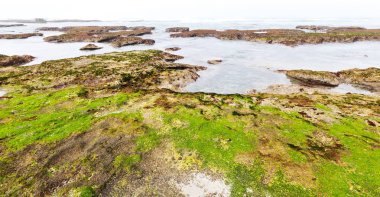  Güney Afrika gökyüzü okyanus yedek olarak