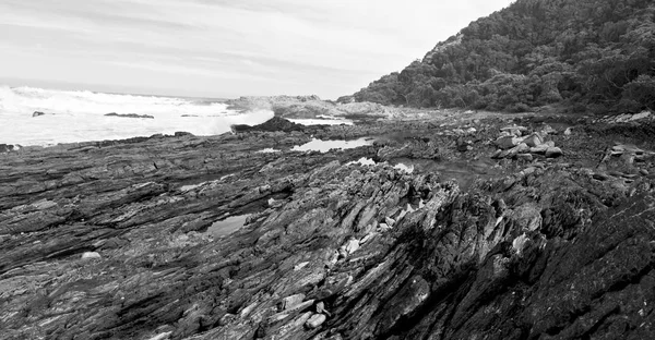 In south africa   sky  ocean      reserve — Stock Photo, Image