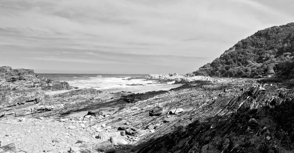 In south africa   sky  ocean       reserve — Stock Photo, Image