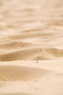 kıyı şeridi sahil soyut kumu  