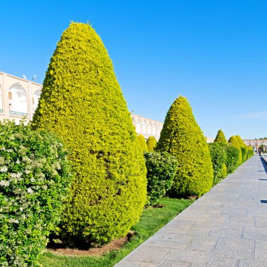 İran'da eski Meydanı 