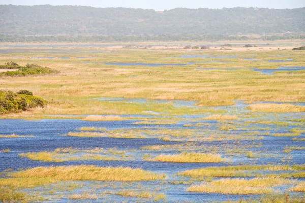 У Південній Африці ставок озеро природного заповідника і Буша — стокове фото