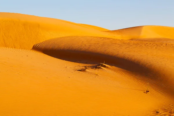 Em oman velho deserto esfregar al khali o quarto vazio e ao ar livre — Fotografia de Stock