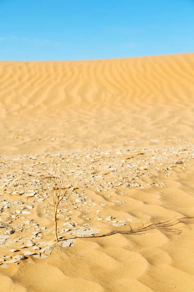 In oman old desert — Stock Photo, Image