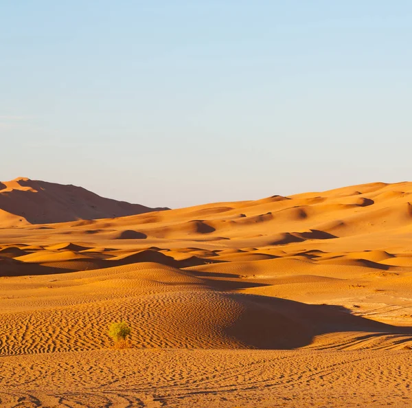 En el viejo desierto de Omán — Foto de Stock