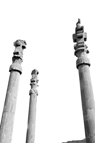 A persepolis Irán — Stock Fotó