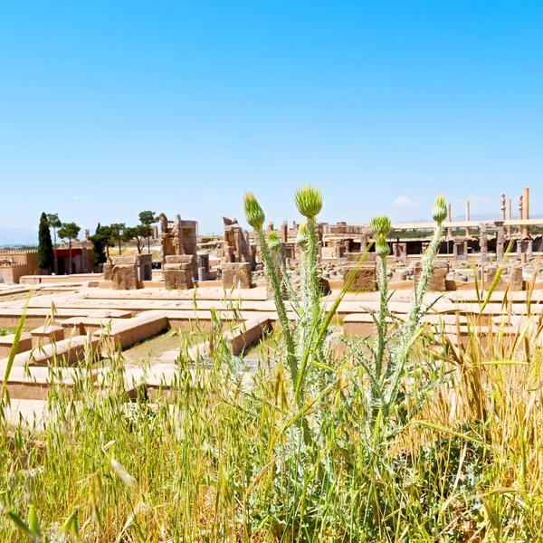 A persepolis Irán — Stock Fotó