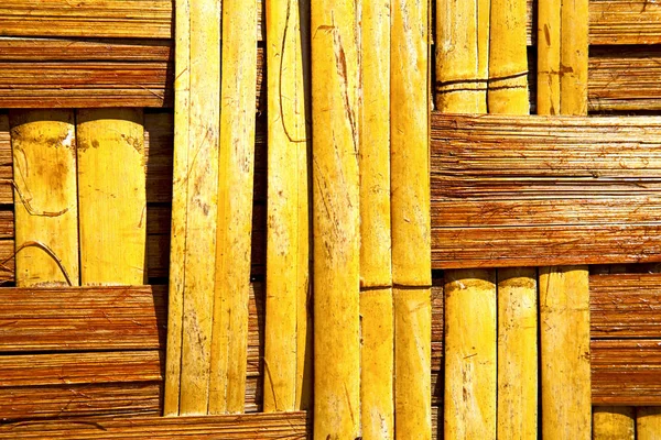 Thailand abstract  bamboo  the temple kho bay asia — Stock Photo, Image