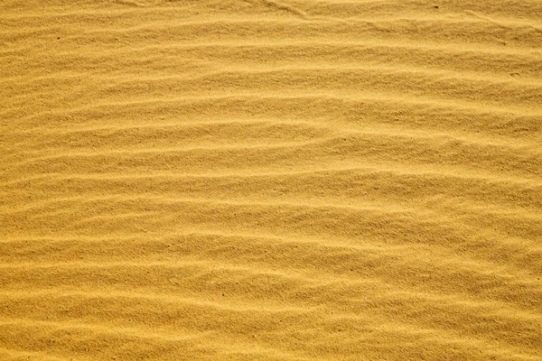 아프리카 갈색 모래 언덕에 — 스톡 사진