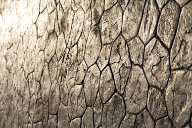   Seramik pencere wat saraylarda bangkok Asya 