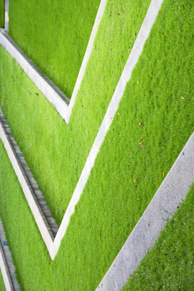 Jardín de hierba cruzada en el templo de Bangkok Asia —  Fotos de Stock