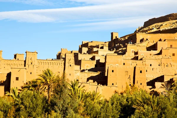 África no morocco a palma velha — Fotografia de Stock