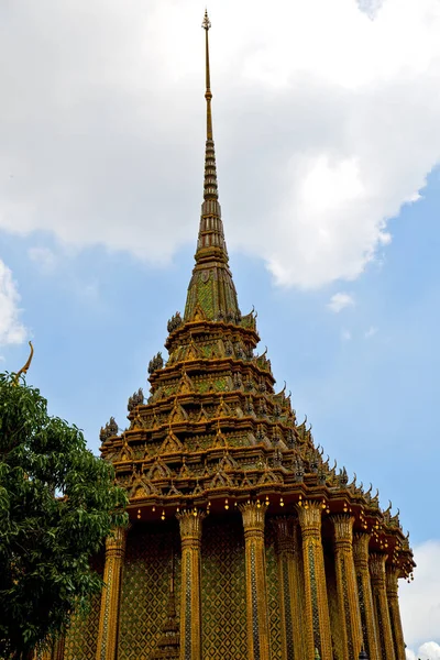 Thailand     bangkok  rain   temple abstract plant tree — Stock Photo, Image