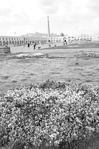 In iran   the old  square — Stock Photo, Image