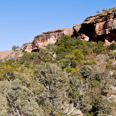   Güney Afrika ıssızlık vadisinde 