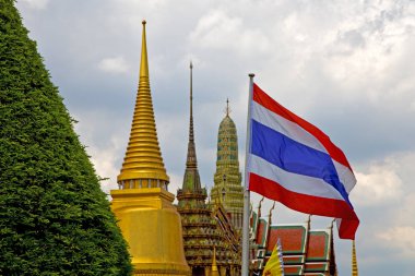  Tayland Asya bangkok yağmur Tapınağı bitki ve bayrak renkleri 