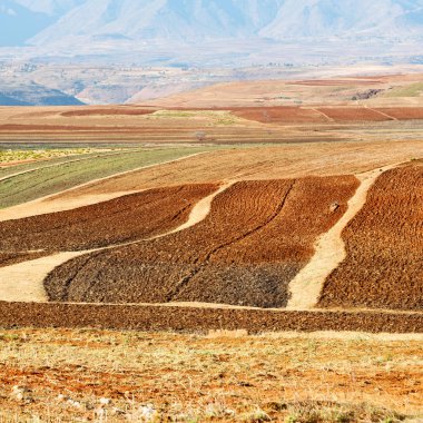 dağ ve coultivation field yakınındaki sokak köy