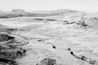   Güney Afrika'da kara çalı ve ağaç 