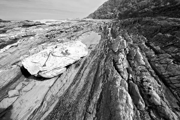 In south africa   sky  ocean       reserve — Stock Photo, Image